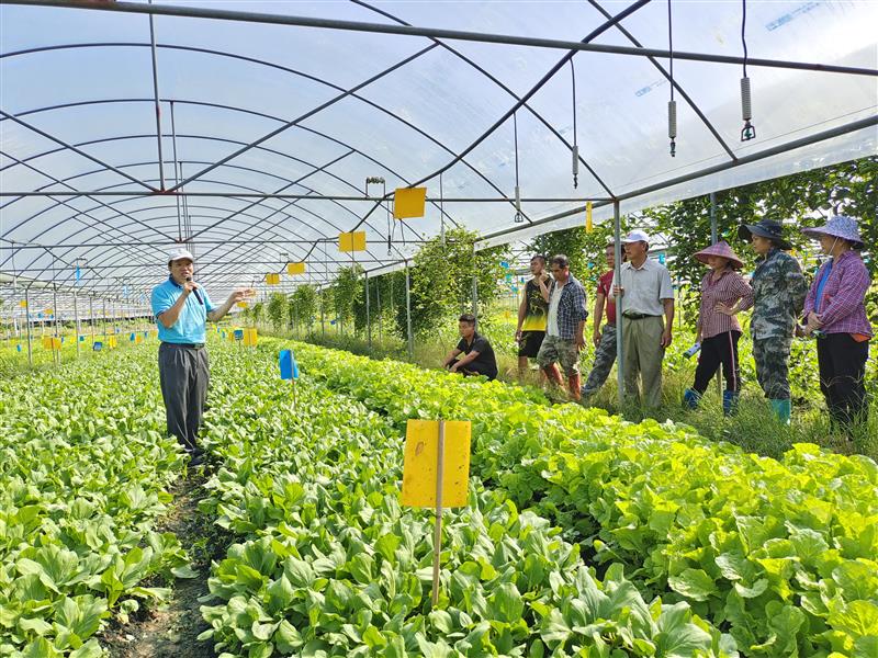 中國熱帶農業科學院 深耕種植技術，媒體報道彰顯創新力量